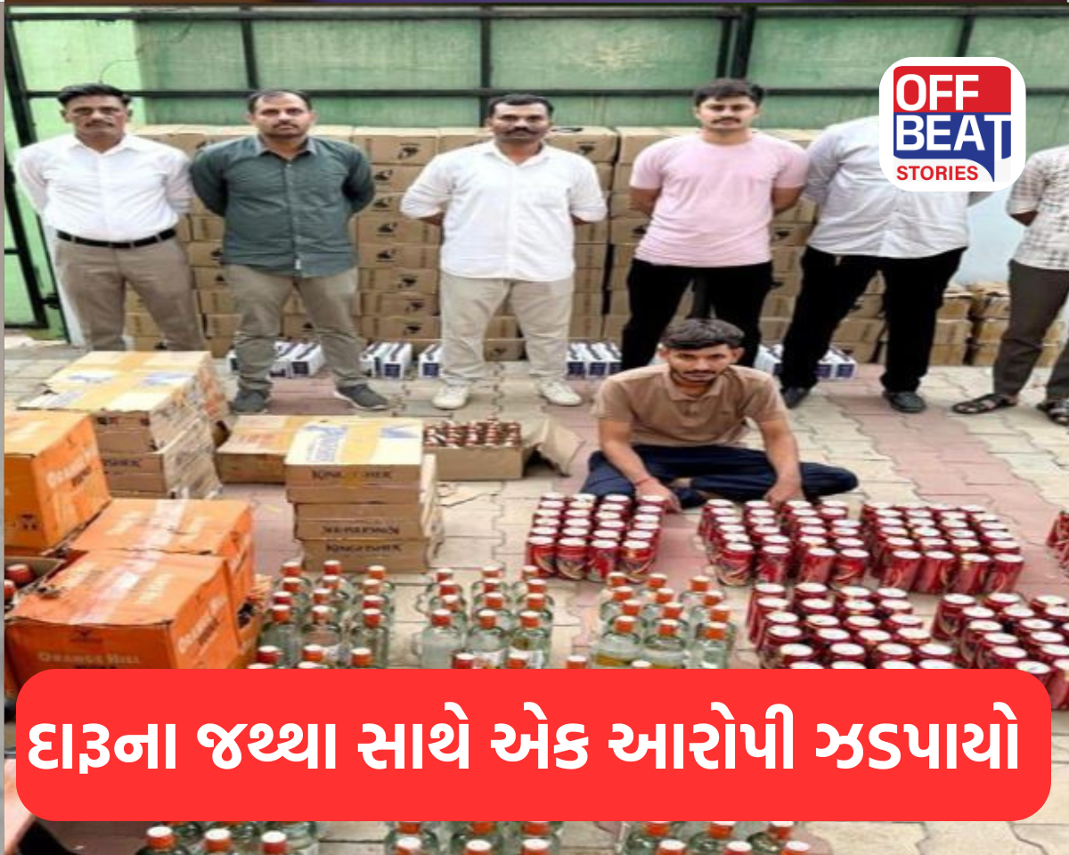 2 કારમાંથી ઝડપાયો ભારતીય બનાવટનો વિદેશી દારૂ