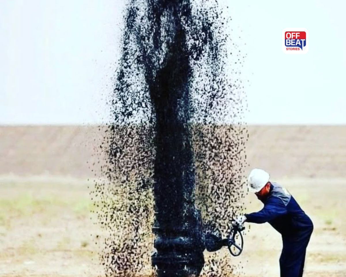 ઇરાકની ભારતને બમ્પર ઓફર