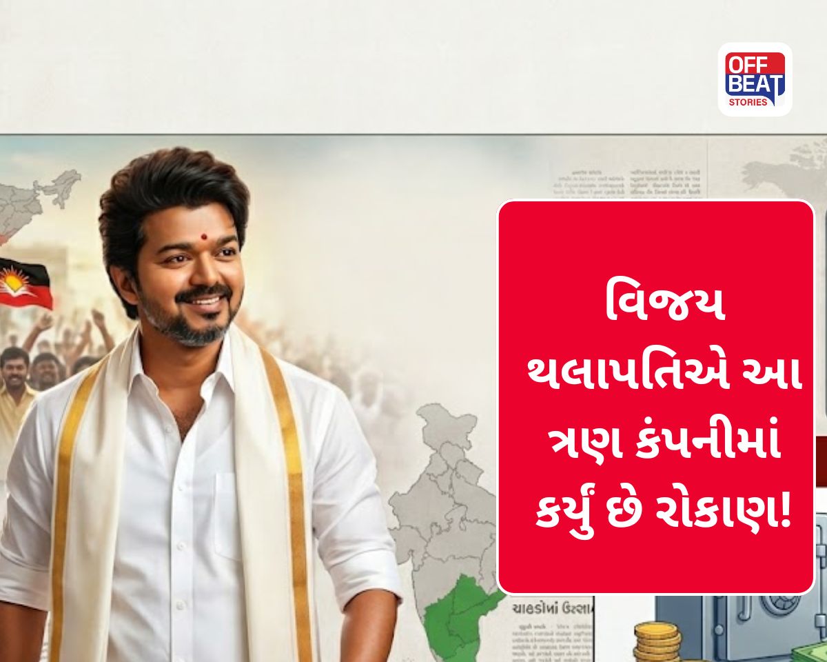 CM બનવા જઈ રહેલા વિજય થલાપતિએ ખરીદ્યા છે આ ત્રણ કંપનીના શેર