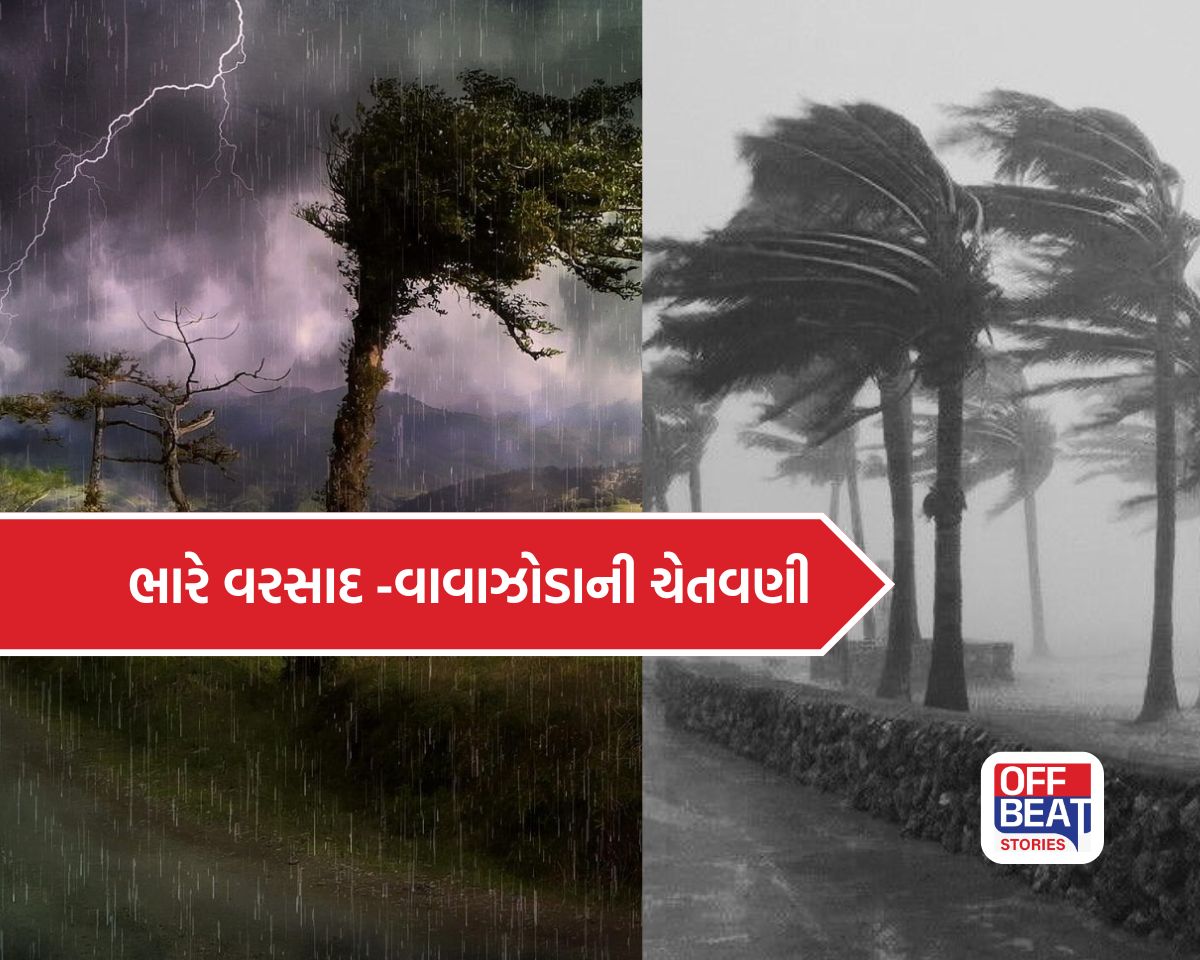 દેશના 13 રાજ્યોમાં વાવાઝોડા-વરસાદનું ખતરનાક અલર્ટ!