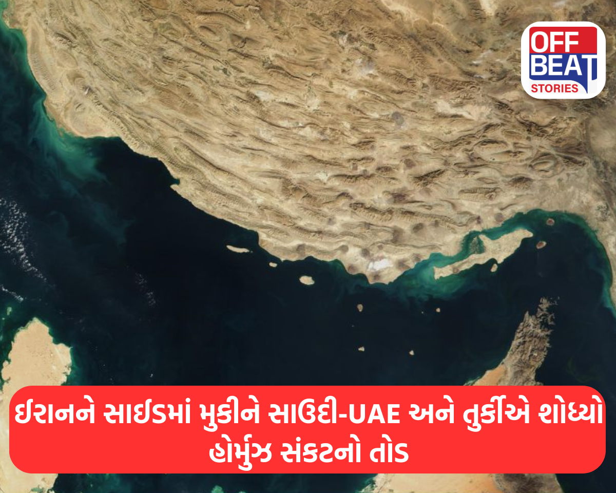 ઈરાનને સાઈડમાં મુકીને સાઉદી-UAE અને તુર્કીએ  શોધ્યો હોર્મુઝ સંકટનો તોડ