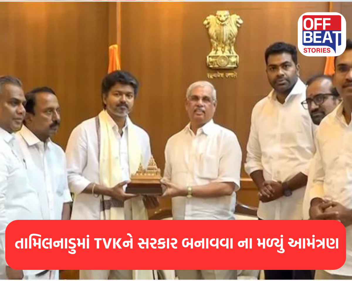 તામિલનાડુમાં TVKને સરકાર બનાવવા ના મળ્યું આમંત્રણ