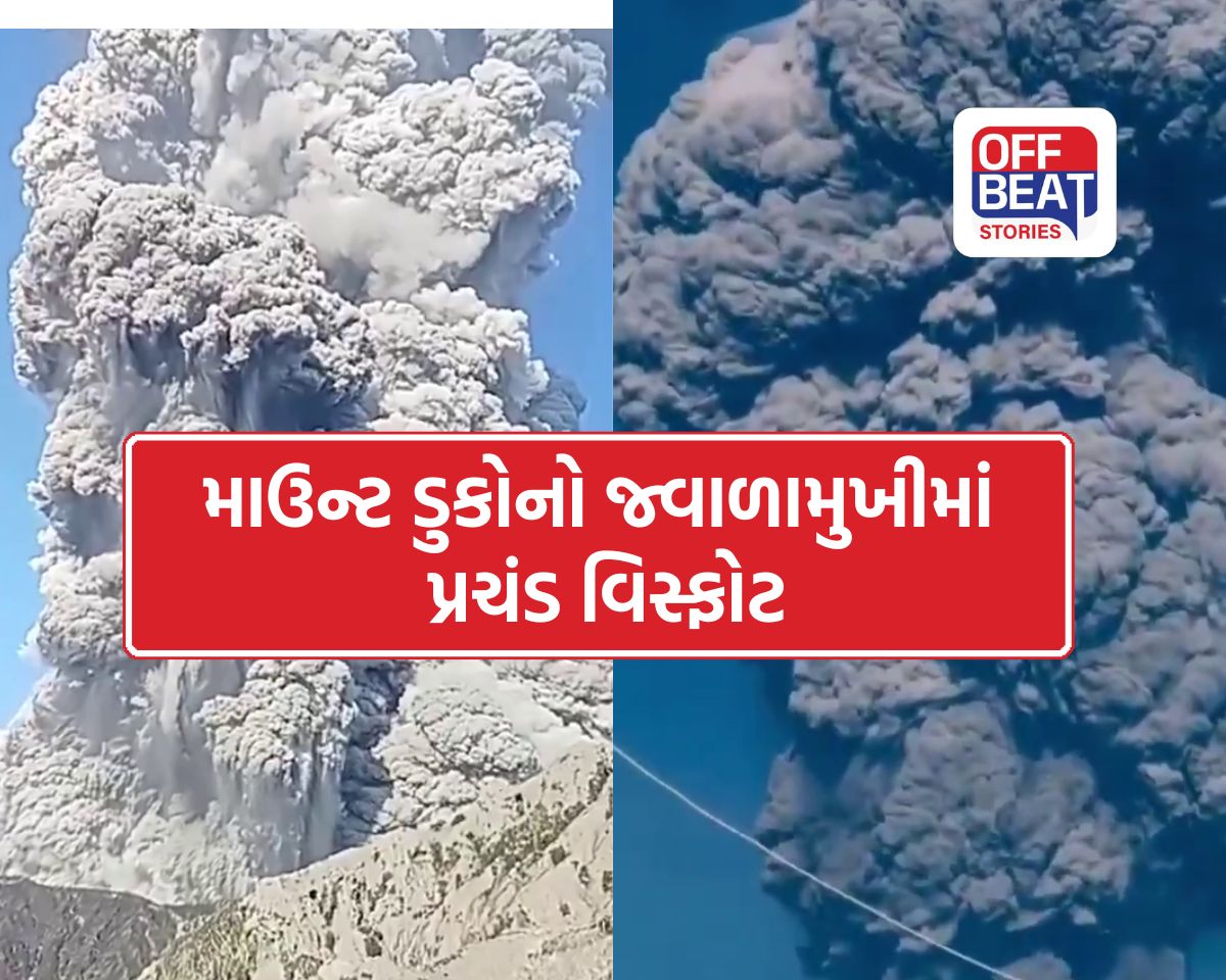 ચેતવણીને અવગણવી પડી ભારે!