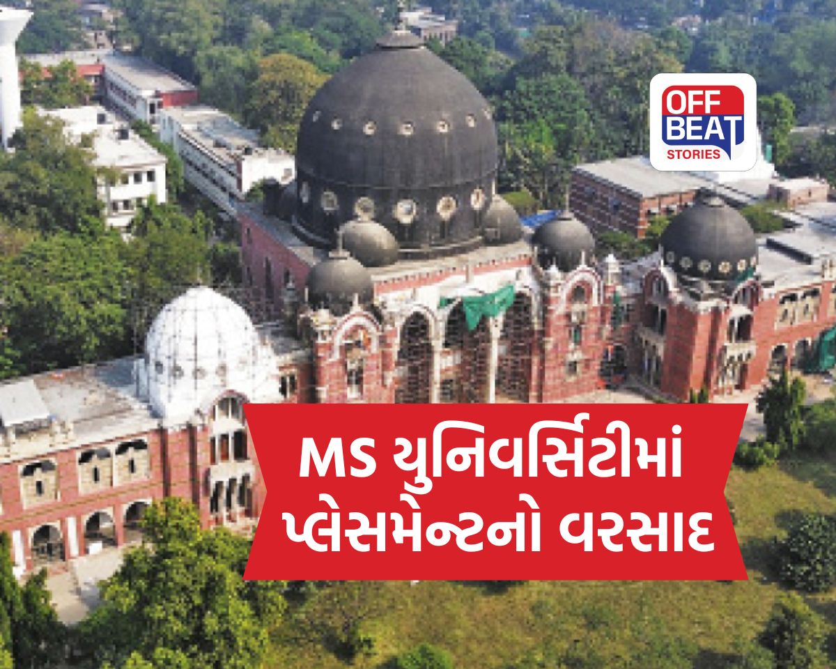 MSUમાં પ્લેસમેન્ટનો જોરદાર 'ધમધમાટ'