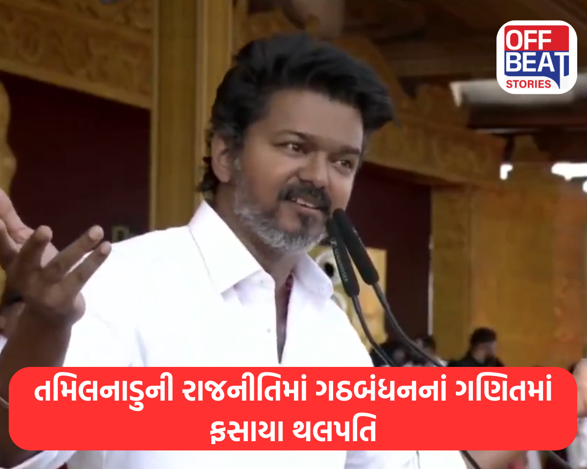 તમિલનાડુની રાજનીતિમાં ગઠબંધનનાં ગણિતમાં ફસાયા થલપતિ
