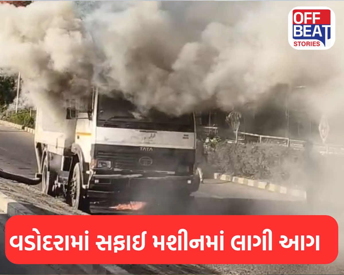 વડોદરામાં PMનાં આગમન પહેલાં થઈ રહી હતી સફાઈ