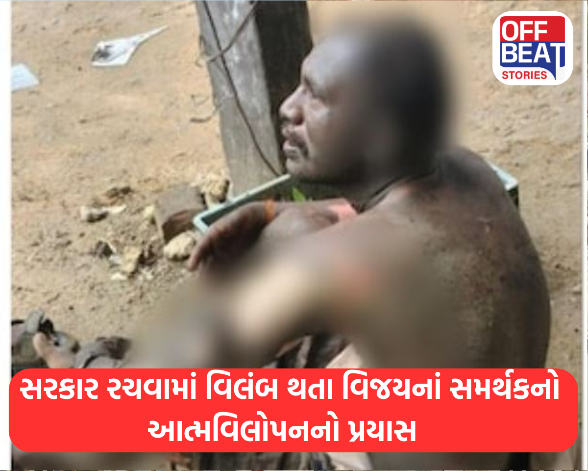 તમિલનાડુમાં સરકાર રચવામાં વિલંબ વિજયના સમર્થકનો આત્મવિલોપનનો પ્રયાસ