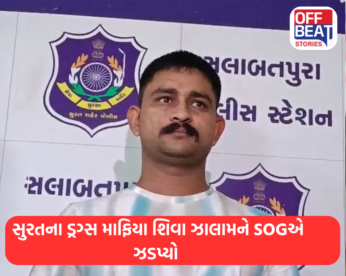 'હવે પછી ક્યારેય રીલ નહીં બનાવું'