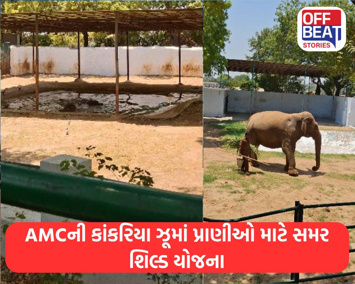 અમદાવાદમાં અંગ દઝાડતી ગરમી