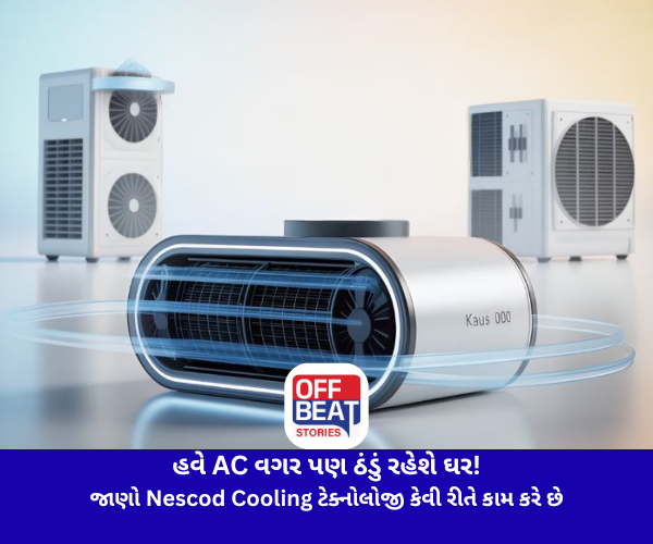 હવે AC વગર પણ ઠંડું રહેશે ઘર!