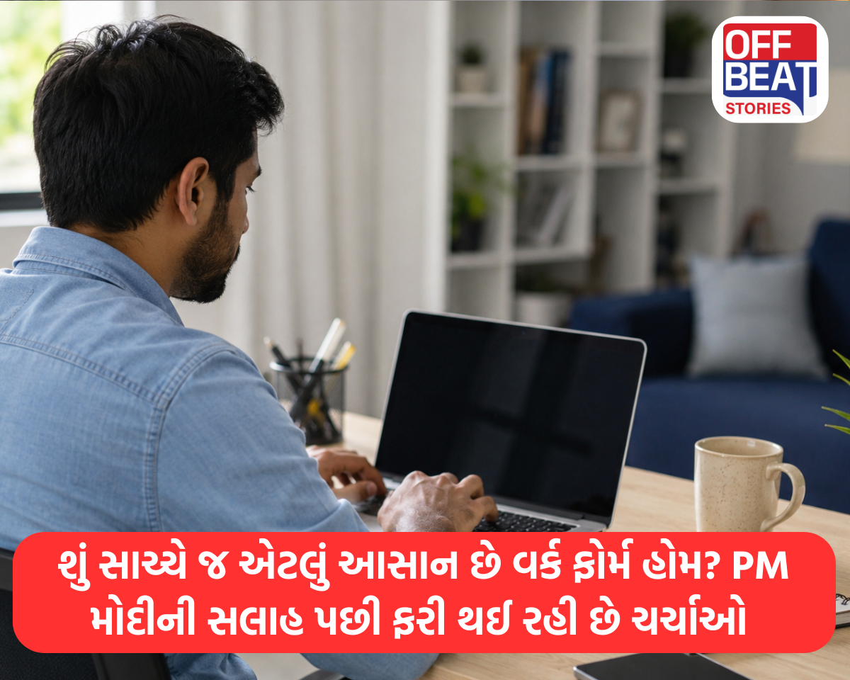 શું સાચ્ચે જ એટલું આસાન છે વર્ક ફોર્મ હોમ?