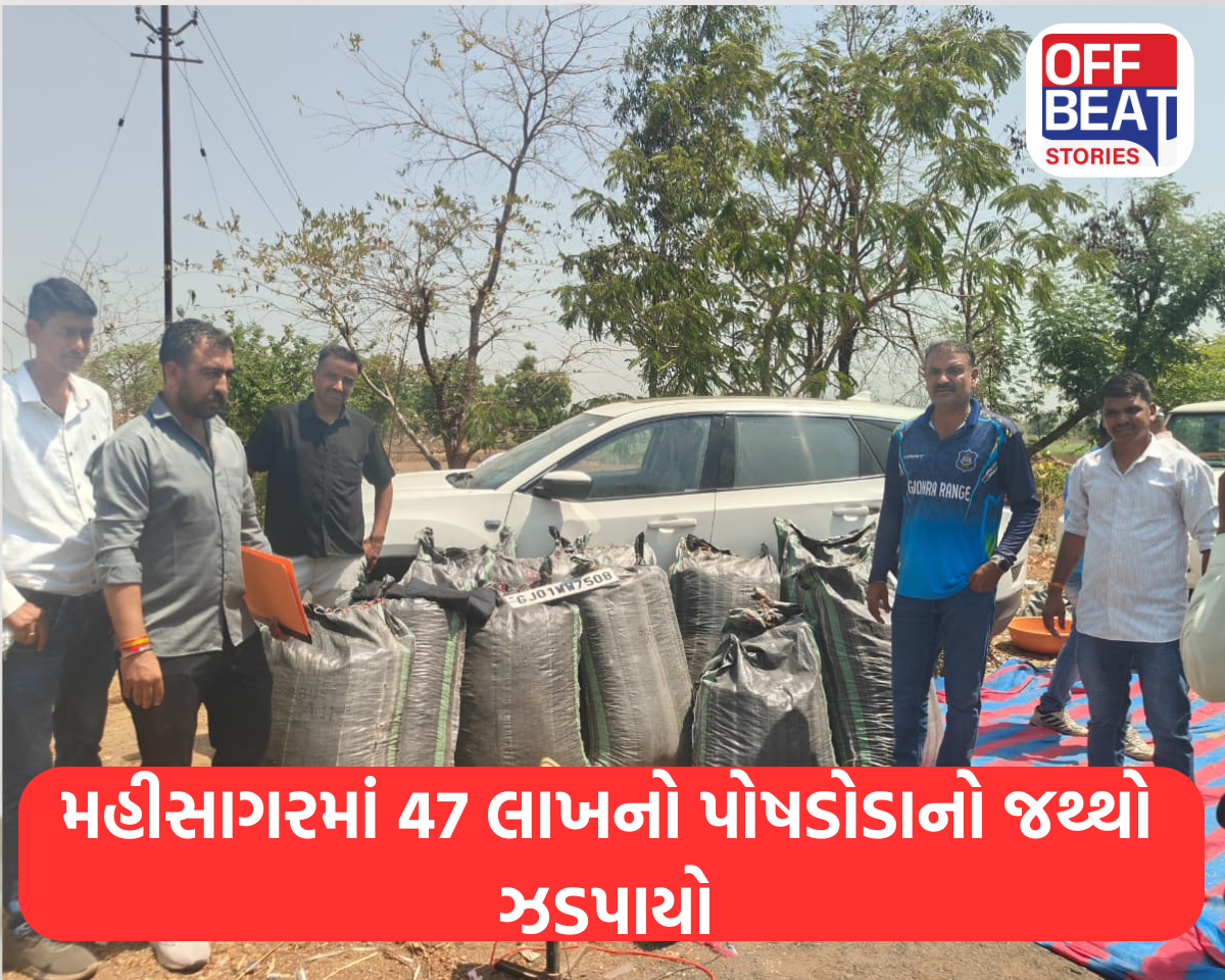 મહીસાગરમાં 47 લાખનો પોષડોડાનો જથ્થો ઝડપાયો