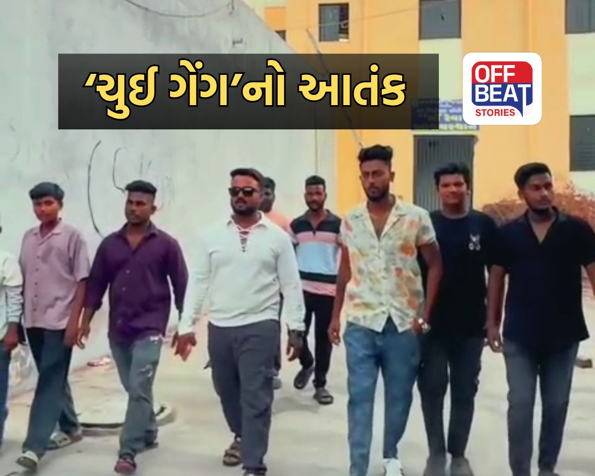 સોશિયલ મીડિયા પર ‘ચુઈ ગેંગ’નો આતંક