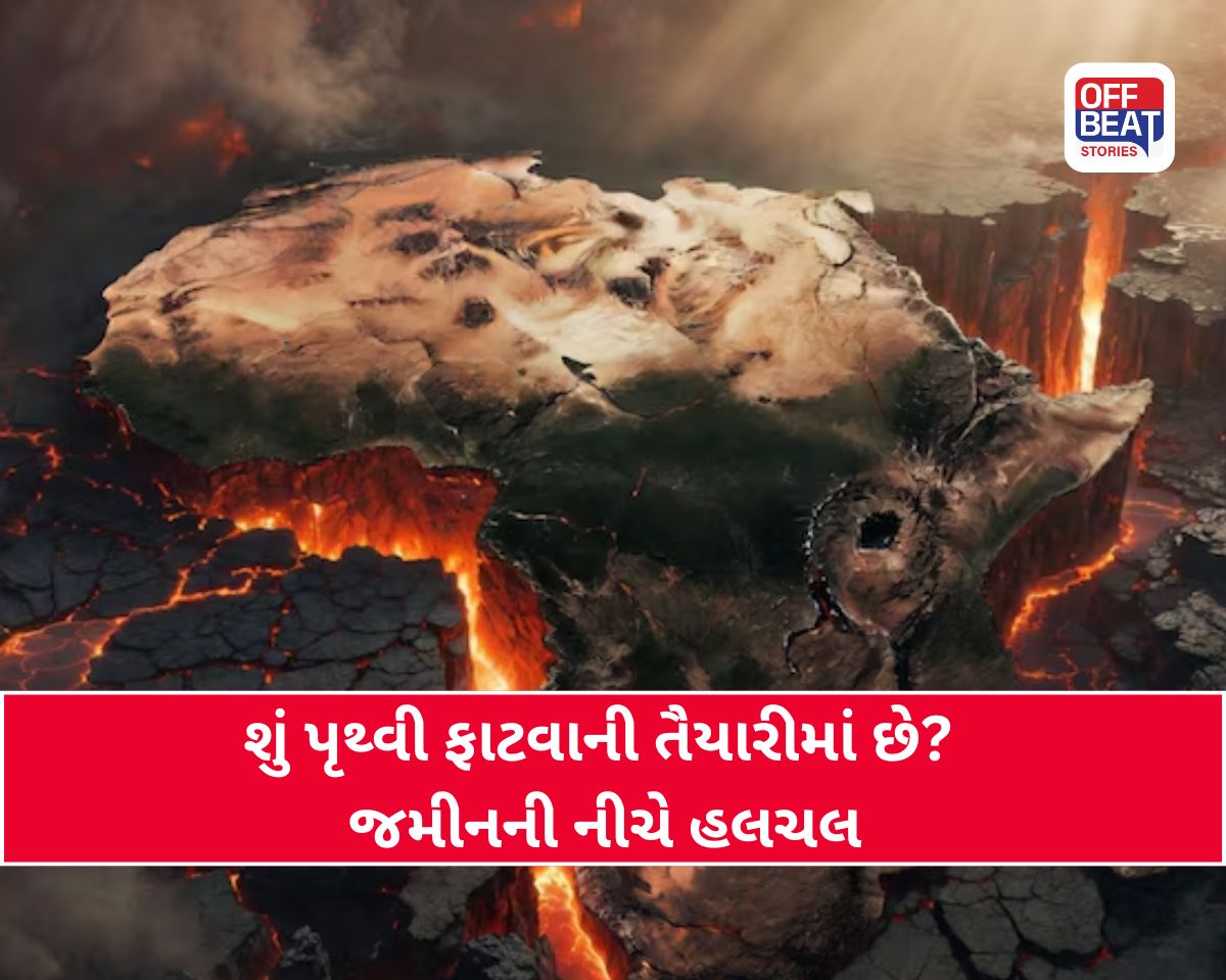શું પૃથ્વી ફાટવાની તૈયારીમાં છે? જમીનની નીચે હલચલ
