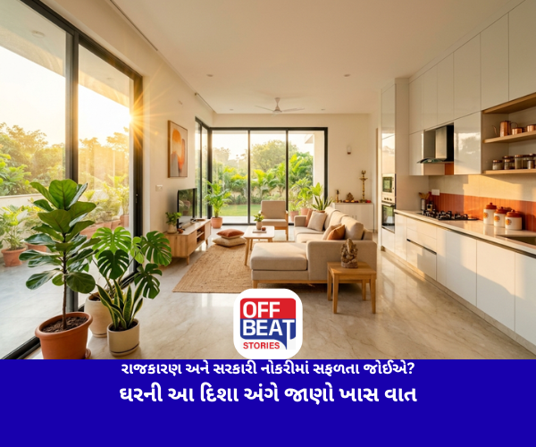 રાજકારણ અને સરકારી નોકરીમાં સફળતા જોઈએ?