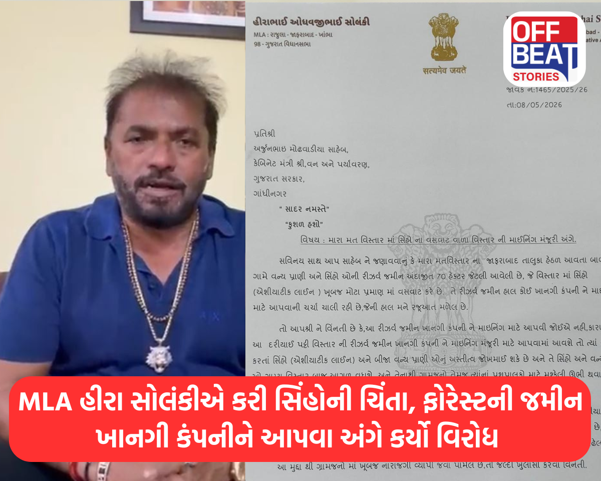 MLA હીરા સોલંકીએ કરી સિંહોની ચિંતા