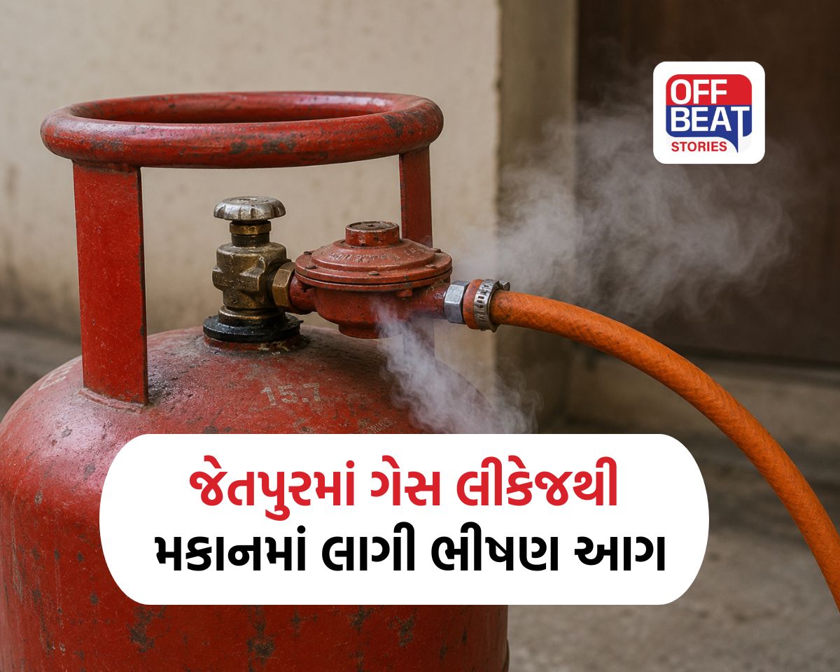 રેગ્યુલેટર ચાલુ રહી જતા ગેસ લીકેજથી મકાનમાં લાગી ભીષણ આગ