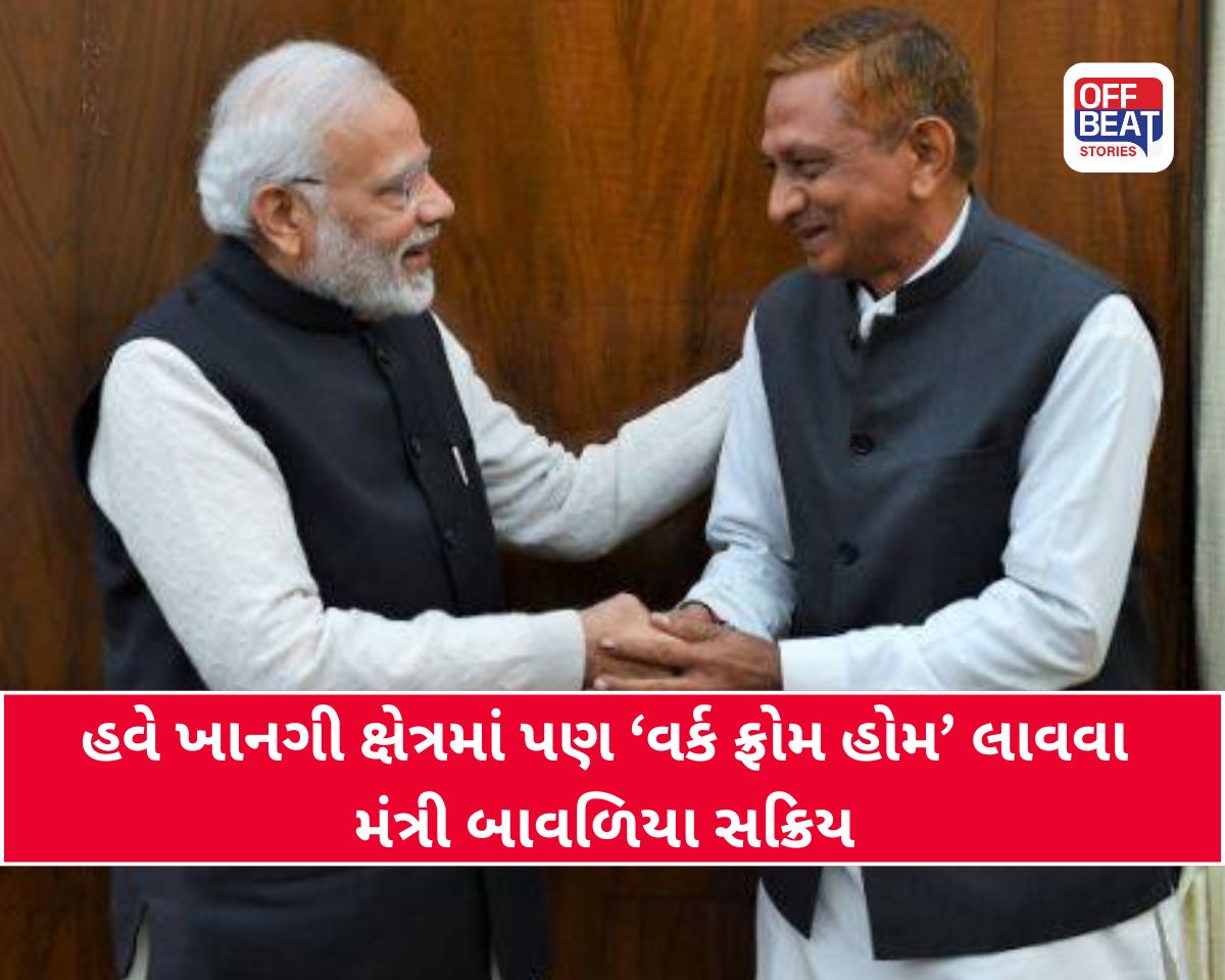 શું ખાનગી કંપનીઓમાં પણ ‘વર્ક ફ્રોમ હોમ’ આવશે?