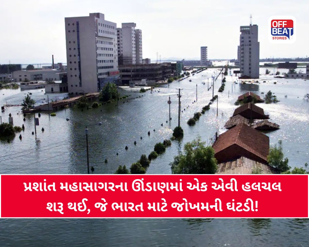 પ્રશાંત મહાસાગરમાંથી આવી રહી છે 'આફત'