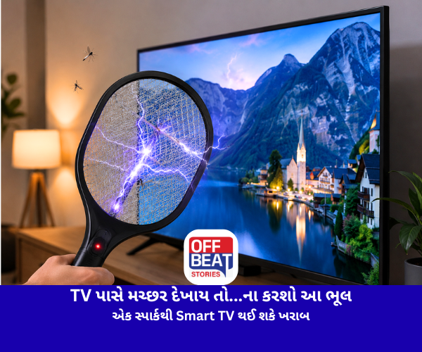 TV પાસે મચ્છર દેખાય તો...ના કરશો આ ભૂલ