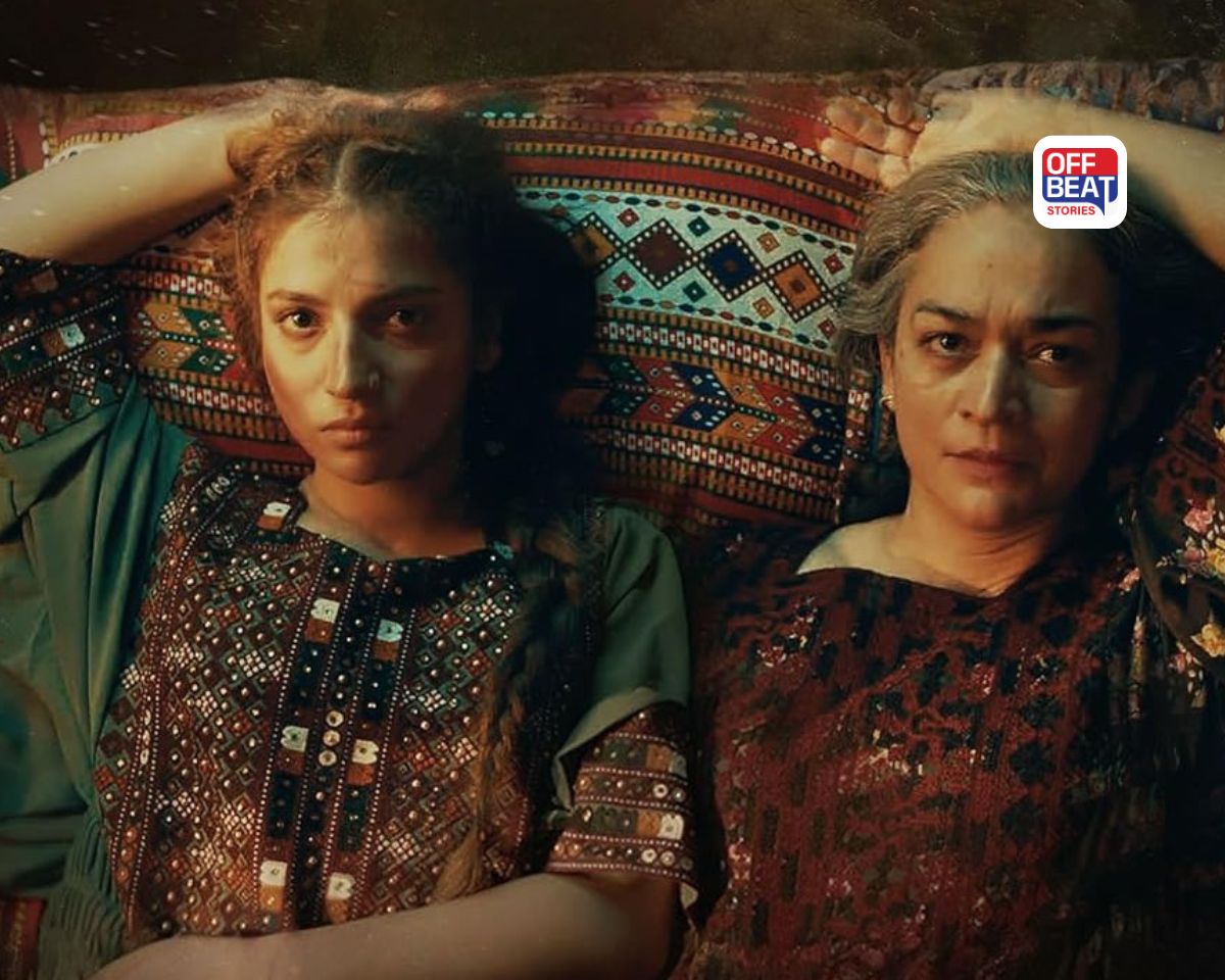 'ધુરંધર' સામે પાકિસ્તાની ફિલ્મ 'મેરા લ્યારી' બોક્સ ઓફિસ પર ફ્લોપ