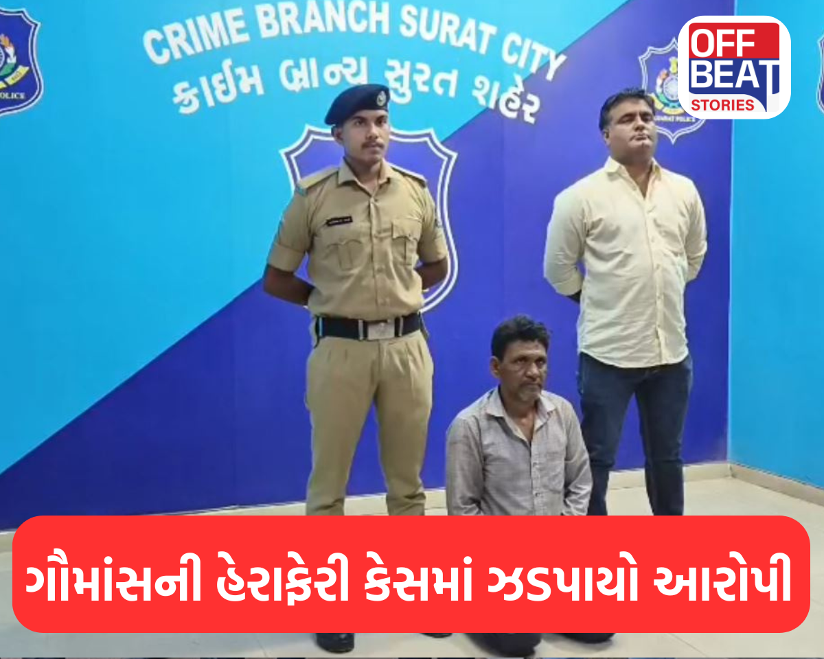 ગૌમાંસની હેરાફેરી કેસમાં ઝડપાયો આરોપી
