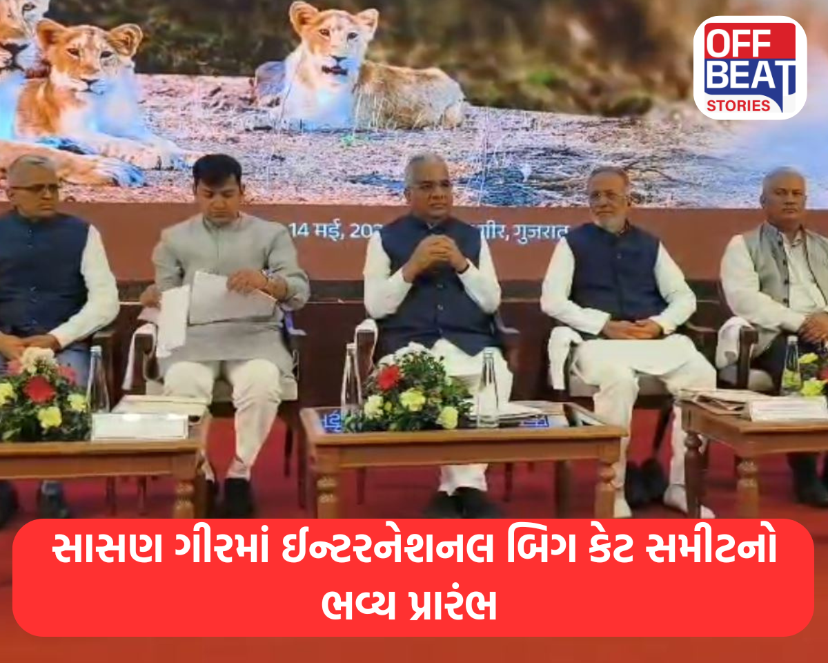 સાસણ ગીરમાં ઈન્ટરનેશનલ બિગ કેટ સમીટનો ભવ્ય પ્રારંભ