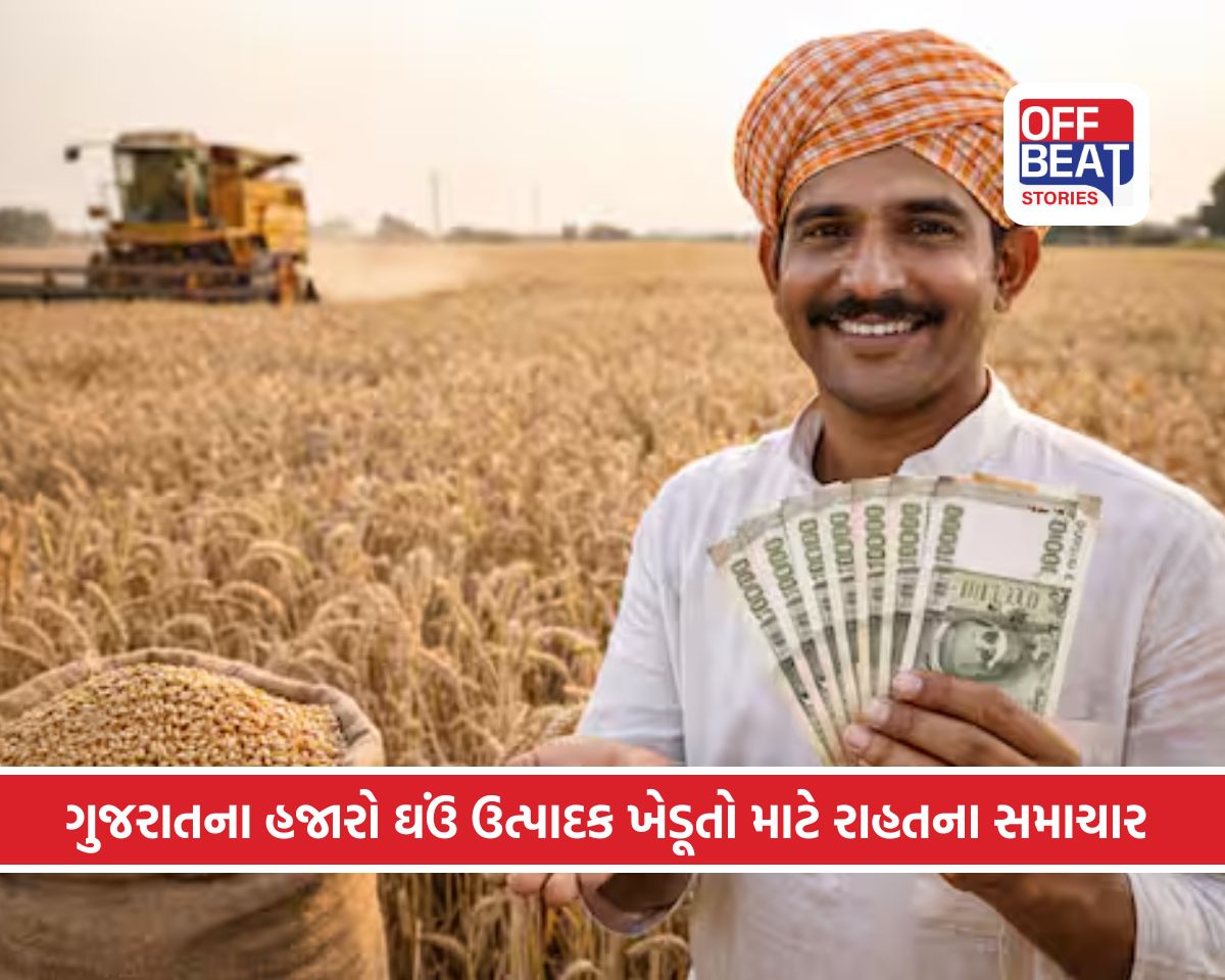 ગુજરાતના ખેડૂતો માટે મોટા સમાચાર