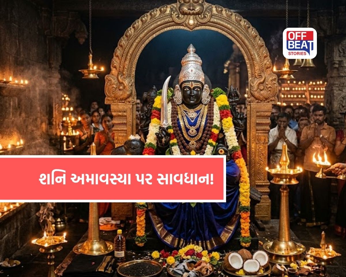 16 મેની શનિ અમાવસ્યા કરી દેશે બરબાદ!
