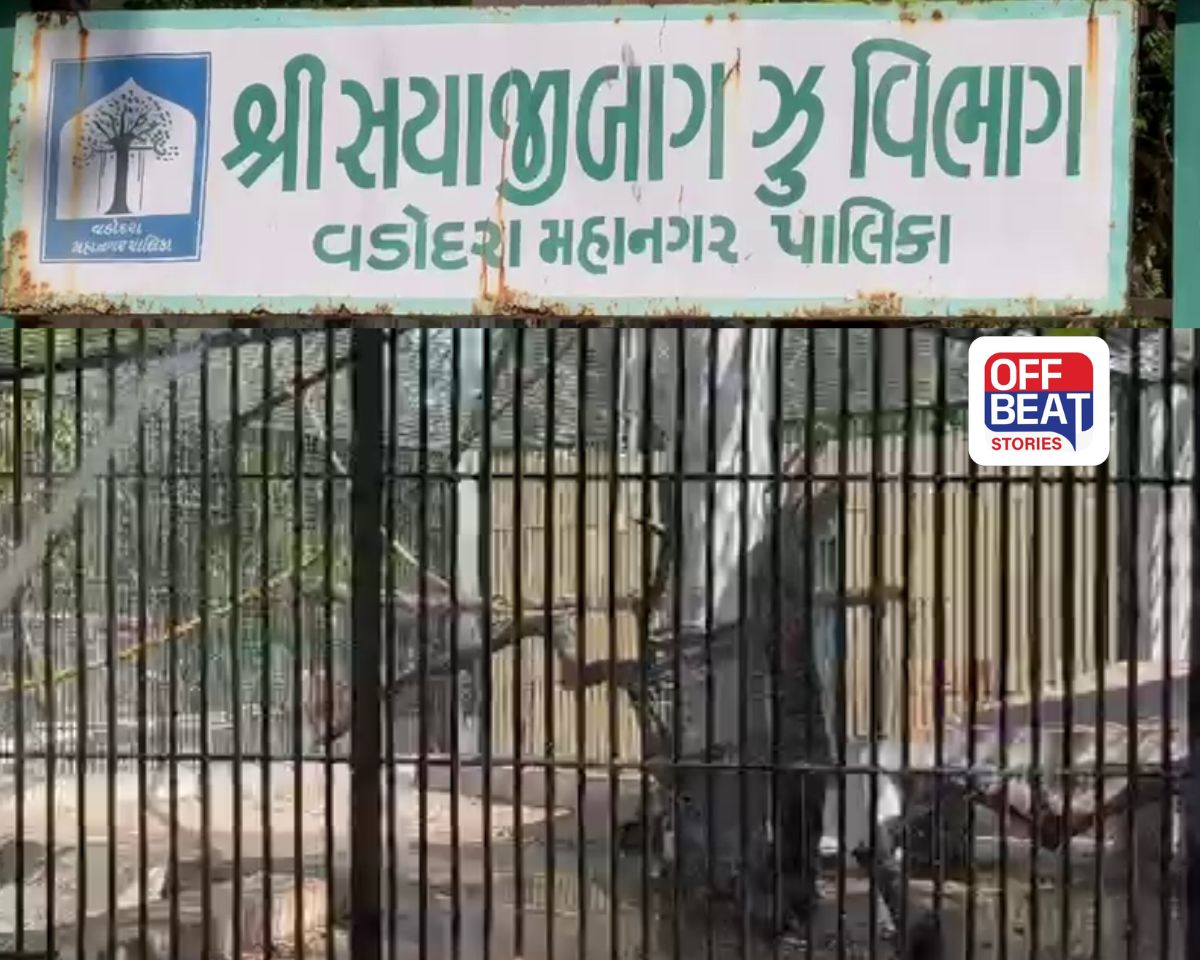 કમાટીબાગમાં સુરક્ષાના લીરેલીરા!