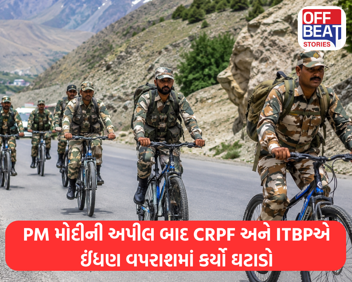 જવાનોની છબી