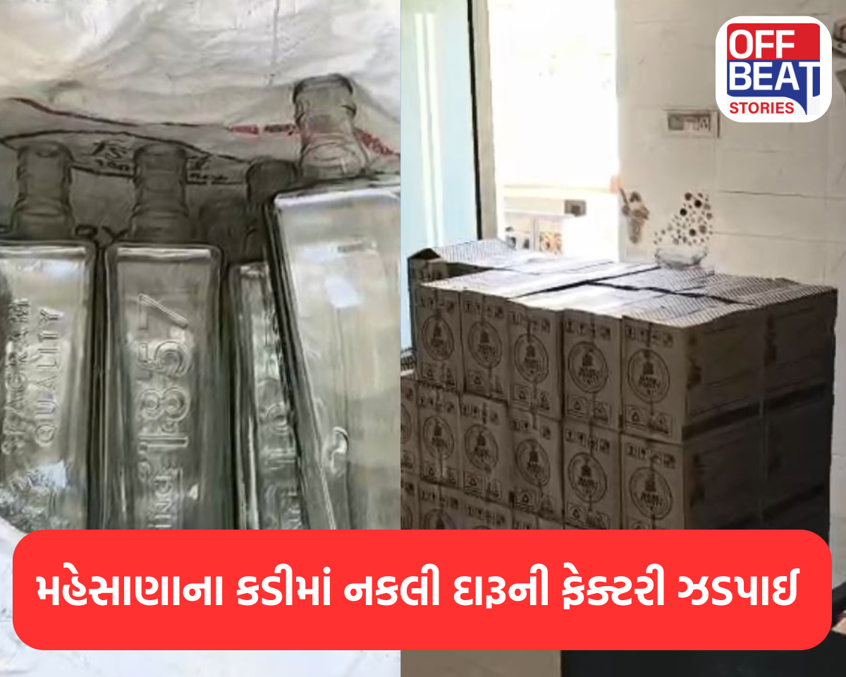 મહેસાણાના કડીમાં નકલી દારૂની ફેક્ટરી ઝડપાઈ
