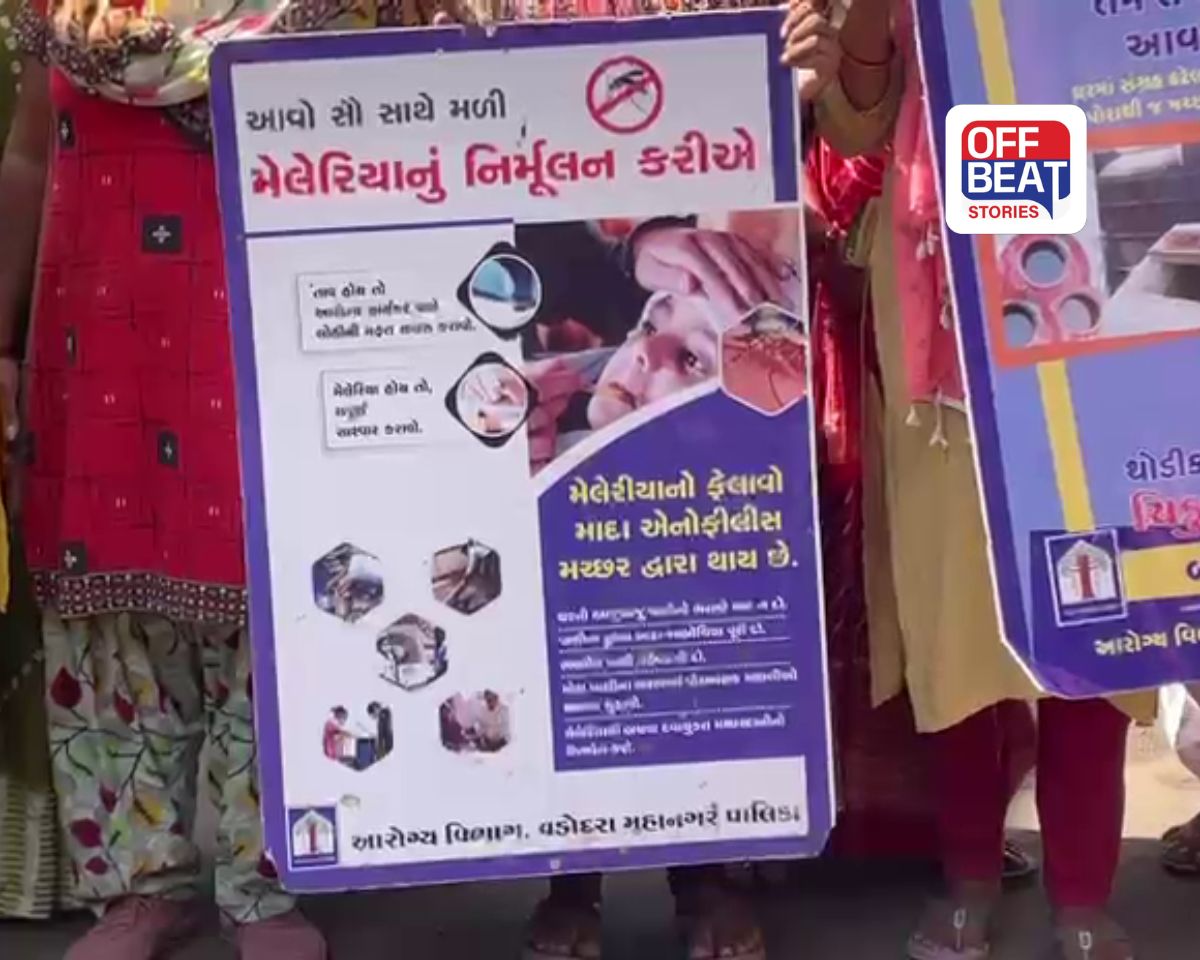 રાષ્ટ્રીય ડેન્ગ્યુ દિવસે વડોદરા પાલિકા એક્શન મોડમાં