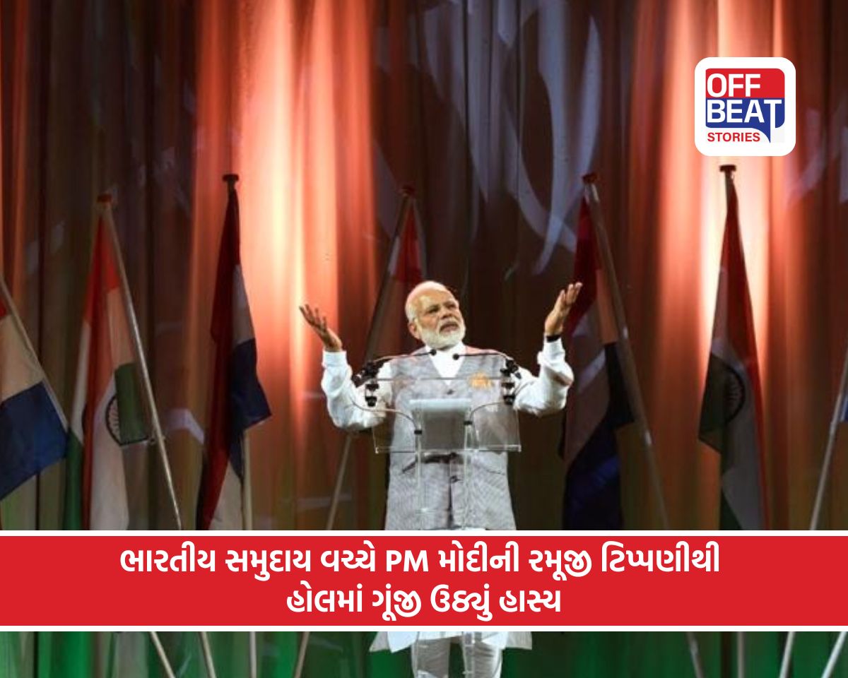 નેધરલેન્ડ્સમાં પીએમ મોદીનો રમૂજી અંદાજ