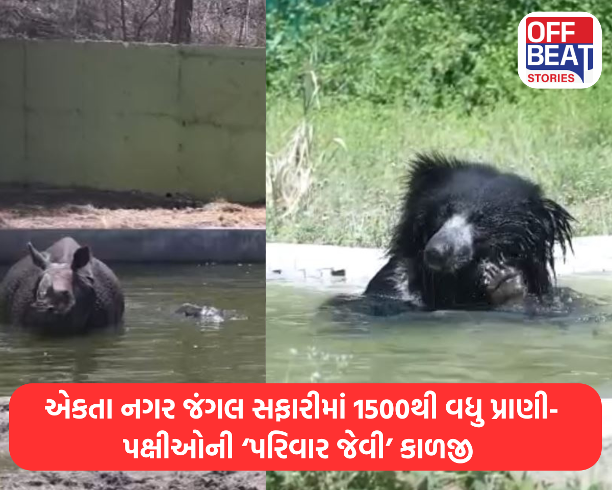 એકતા નગર જંગલ સફારીમાં ઉનાળાની ખાસ તૈયારી