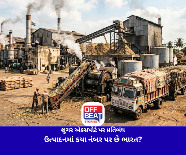 Sugar Export Ban, Indian Government