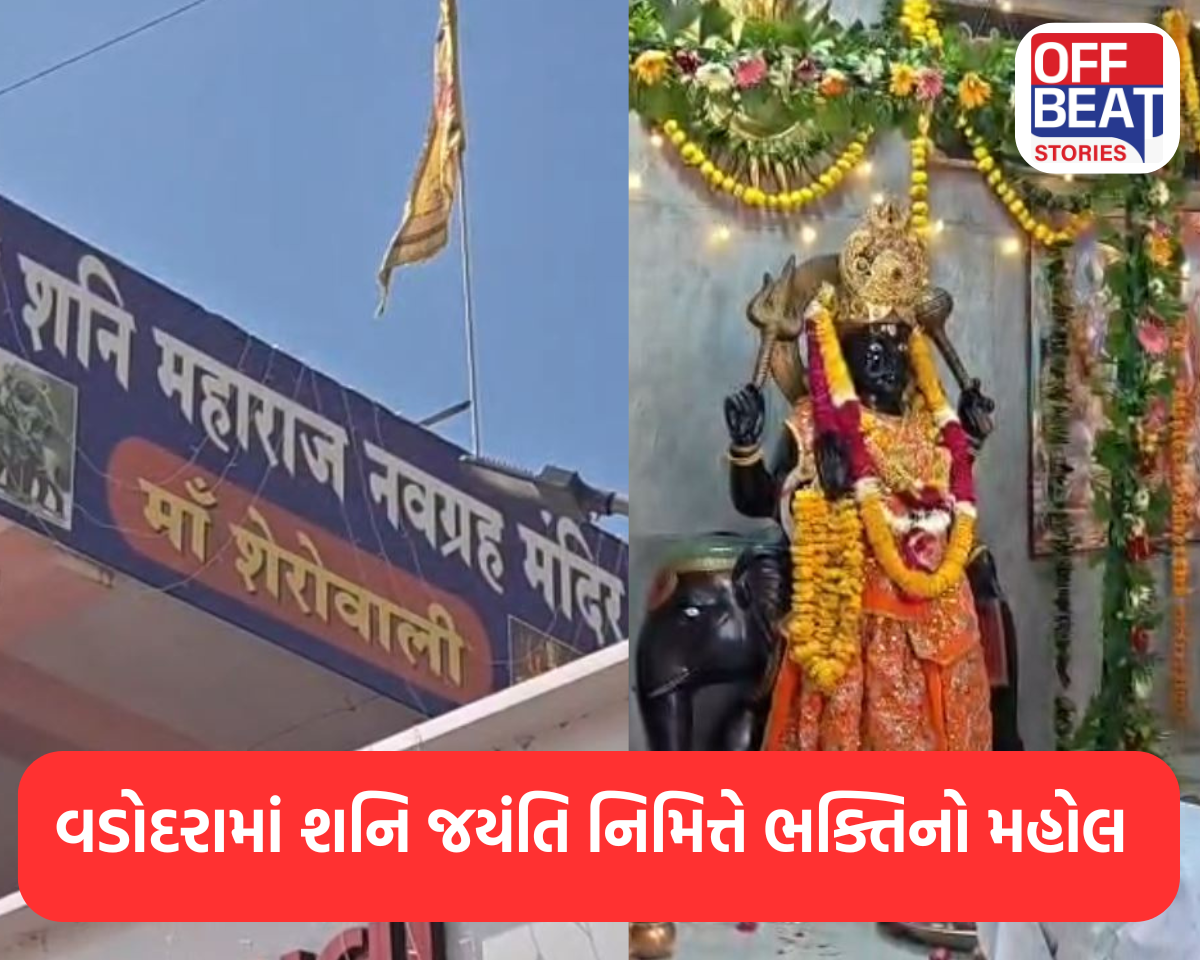 વડોદરામાં શનિ જયંતિ નિમિત્તે ભક્તિનો મહોલ