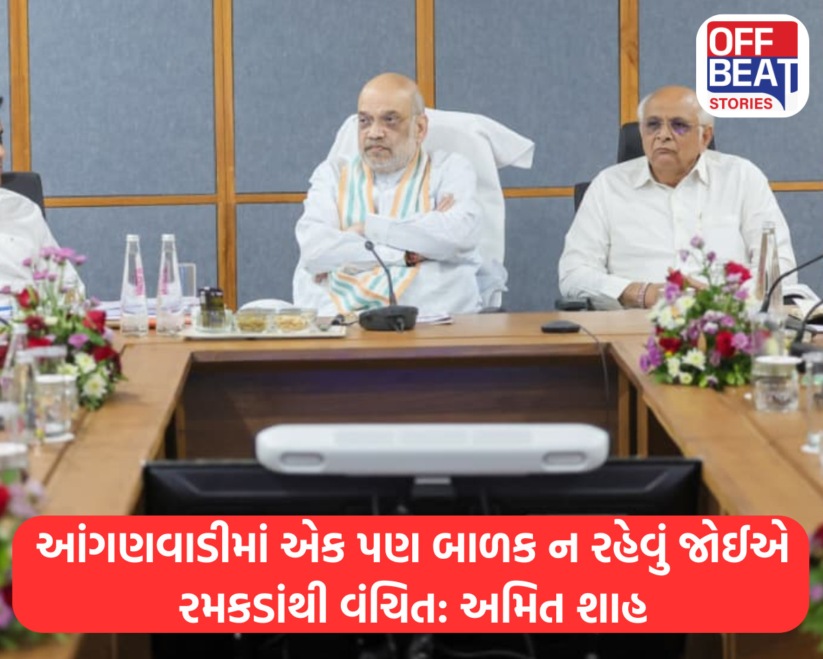 'આંગણવાડીમાં એક પણ બાળક ન રહેવું જોઈએ રમકડાંથી વંચિત'