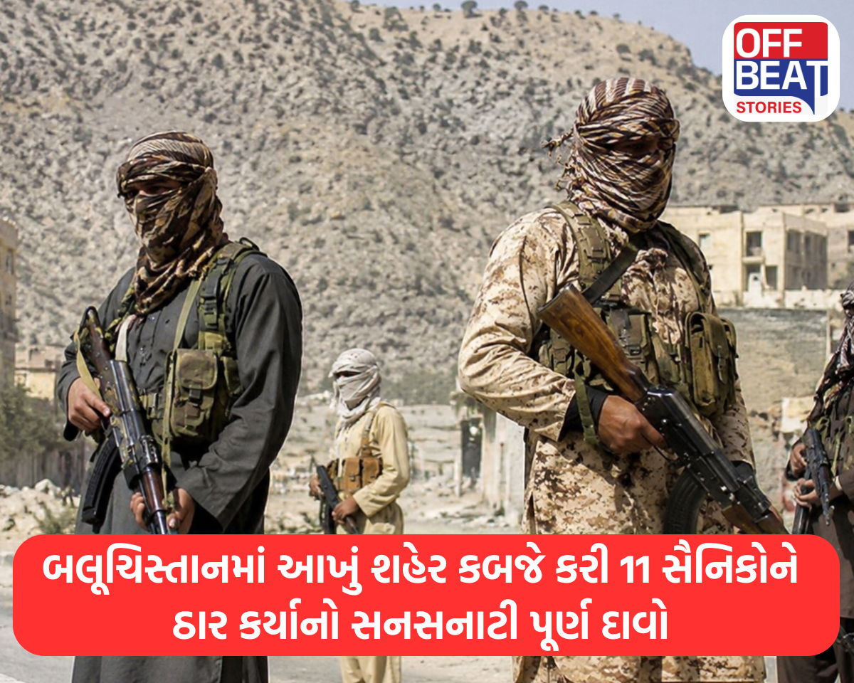 BLAનો મોટો દાવો: પાકિસ્તાનના નકશામાંથી આ આખો વિસ્તાર સાફ?