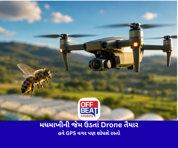 મધમાખીની જેમ ઉડતાં Drone તૈયાર