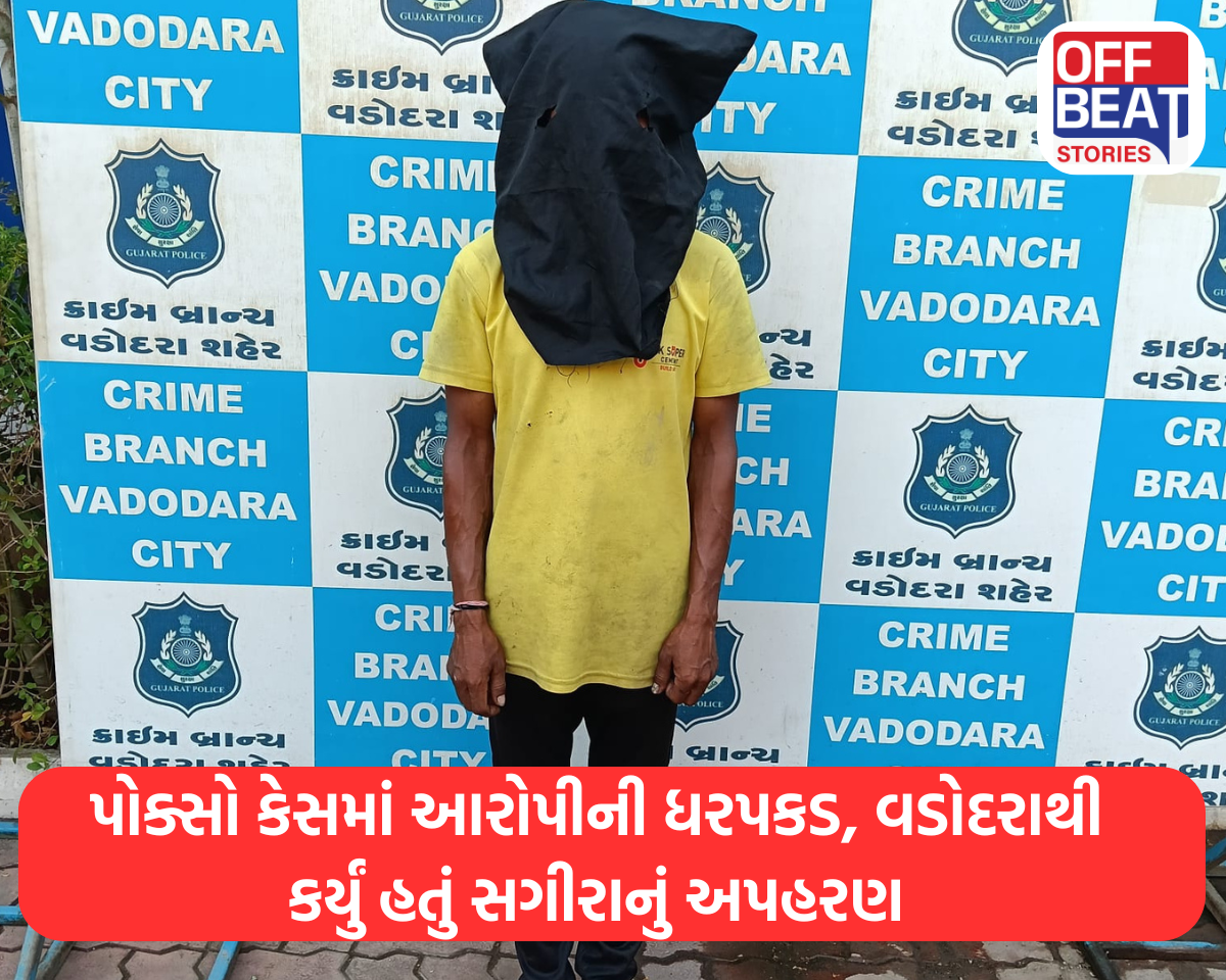 પોક્સો કેસમાં આરોપીની ધરપકડ: વડોદરાથી કર્યું હતું સગીરાનું અપહરણ