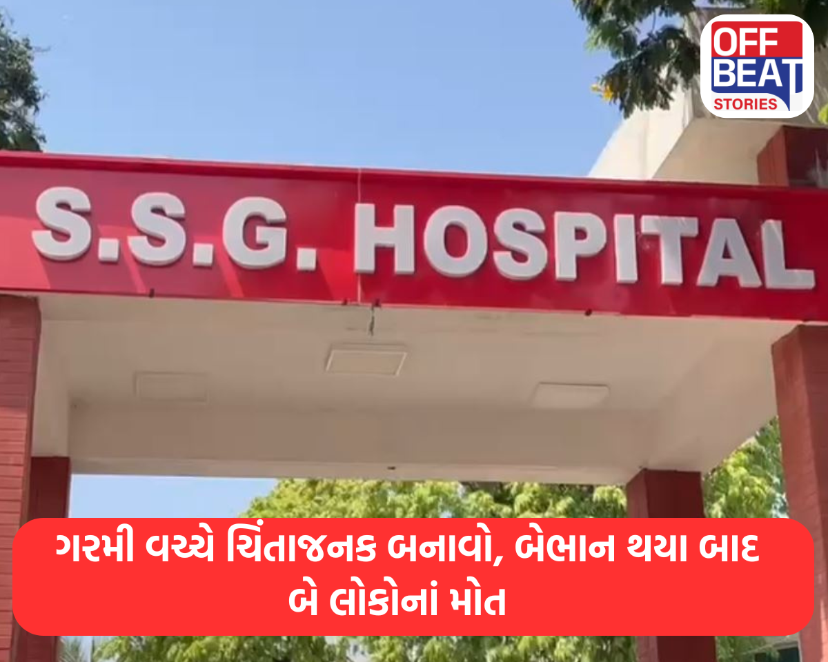ગરમી વચ્ચે ચિંતાજનક બનાવો