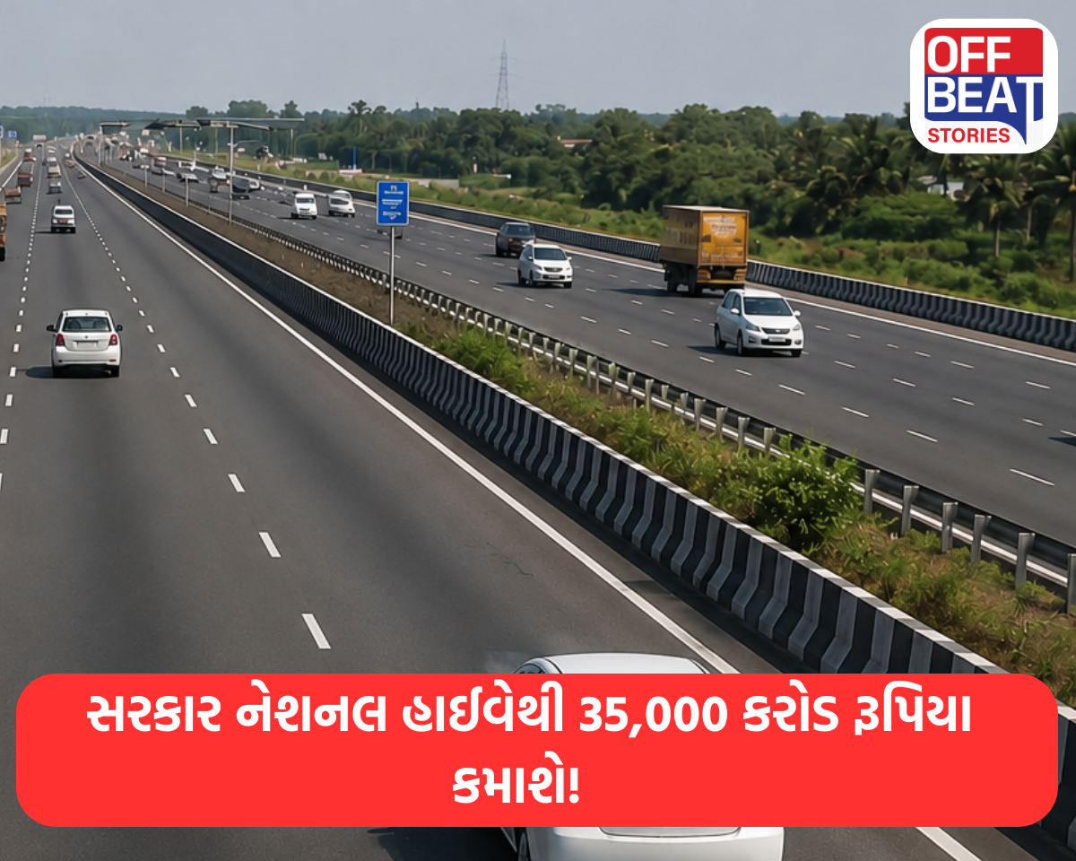 સરકાર નેશનલ હાઈવેથી 35,000 કરોડ રૂપિયા કમાશે!