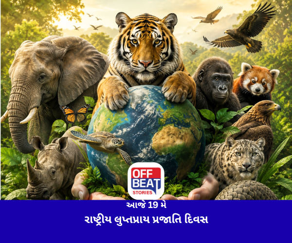 આજે 19 મે