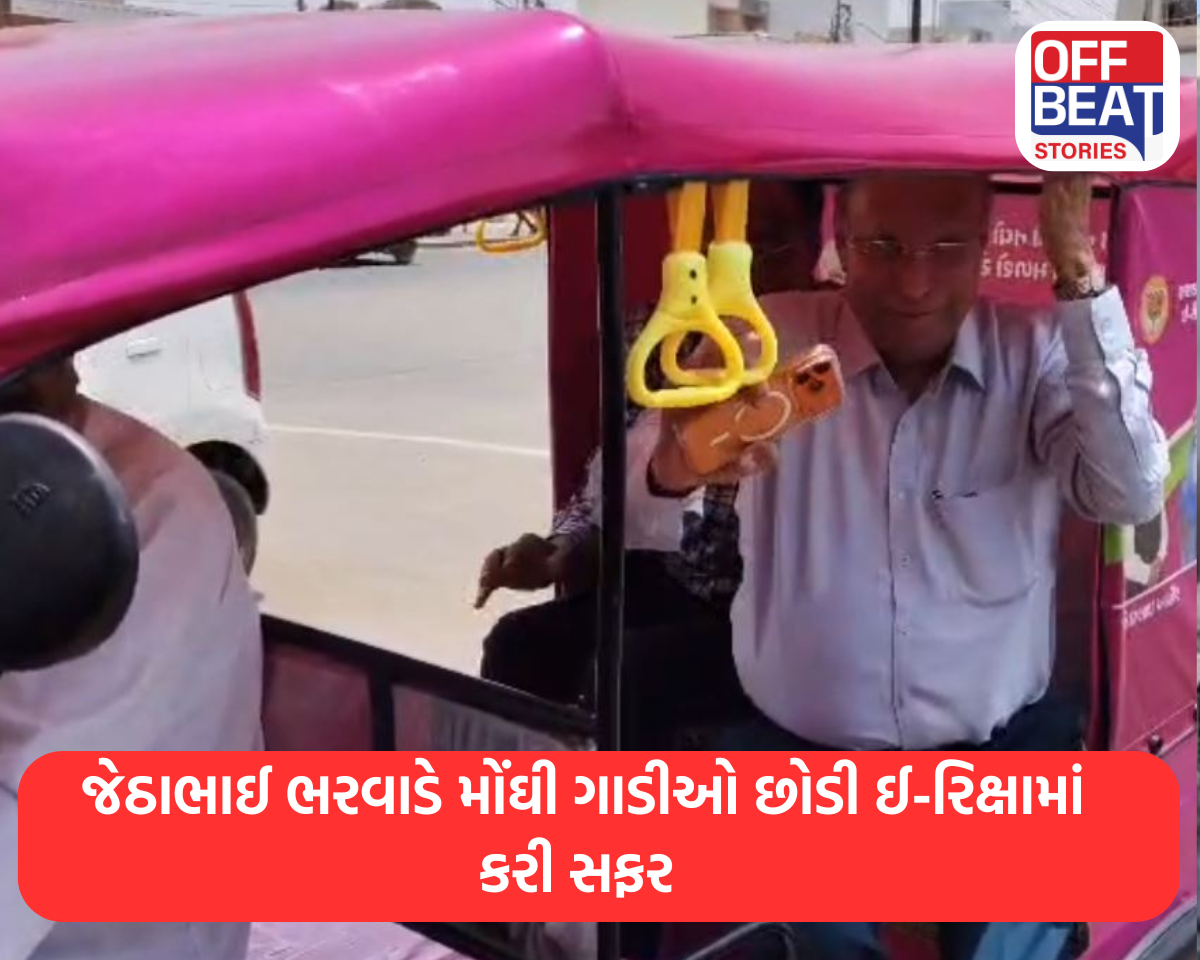 ઈ-રિક્ષામાં જેઠાભાઈ ભરવાડની મુસાફરીની છબી