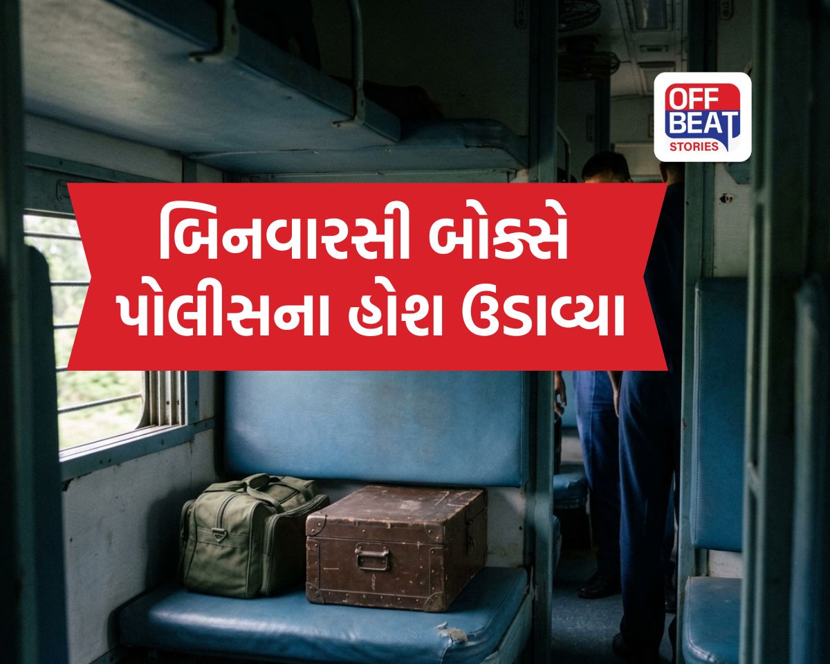 લખનઉ સ્ટેશને ટ્રેનમાંથી મળેલા બિનવારસી બોક્સે પોલીસના હોશ ઉડાવ્યા