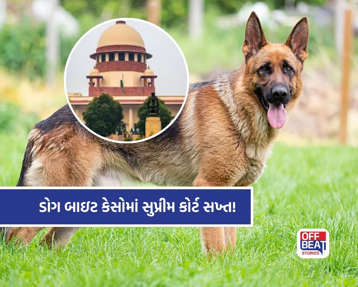 ડોગ બાઇટ કેસોમાં સુપ્રીમ કોર્ટનો કડક નિર્ણય!