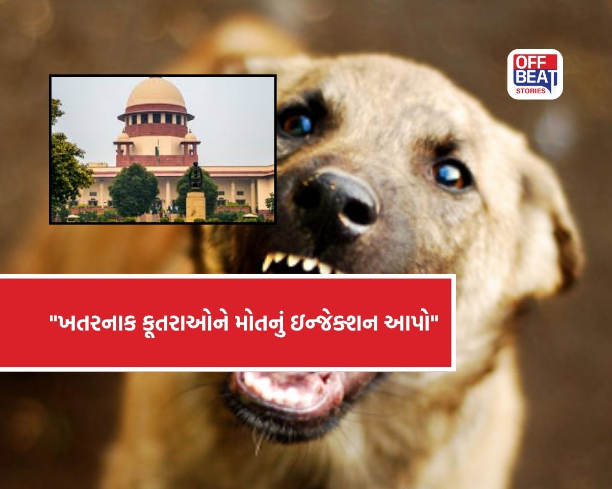 "ખતરનાક કૂતરાઓને મોતનું ઇન્જેક્શન આપો"