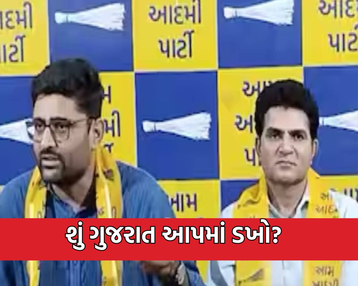 ગોપાલ ઇટાલિયાએ જ કેમ જાહેર કર્યું ગુજરાત AAPનું નવું માળખુ?