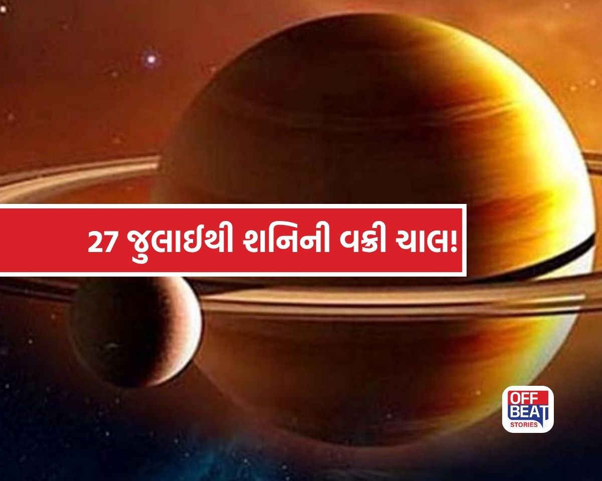 પૈસા જ પૈસા!